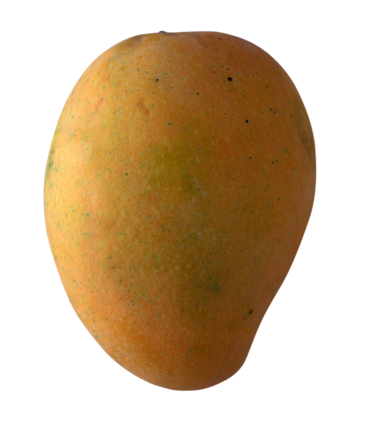 alphonso mango png, alphonso mango png image, alphonso mango transparent png image, alphonso mango png full hd images download